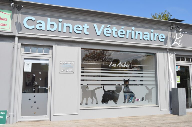 veto aubes 1 1 768x510